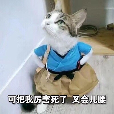 熊猫叉腰表情包图片