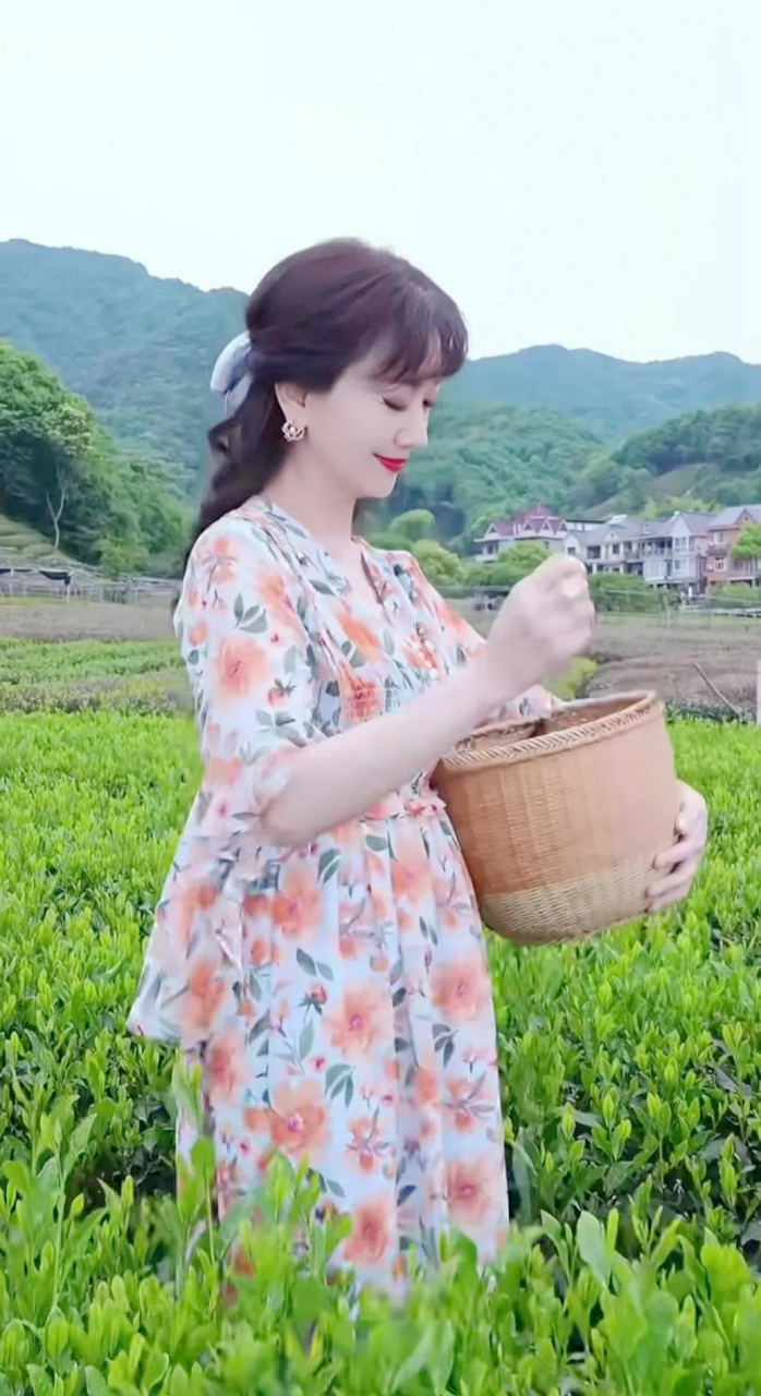 70岁的张雅芝身着碎花连衣裙去大山采茶,清新淡雅,像个小姑娘,真美.