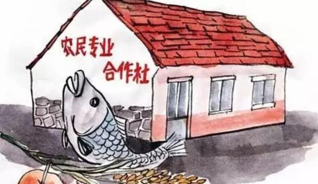 合作社是什么性质企业