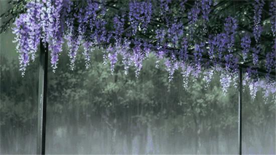 时间煮雨美束论坛的特点以及主题多样性介绍