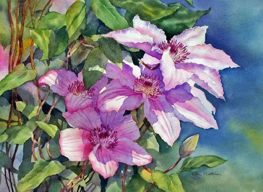 太绝了!20年画龄的水彩老师笔下的美丽花卉,张张精品