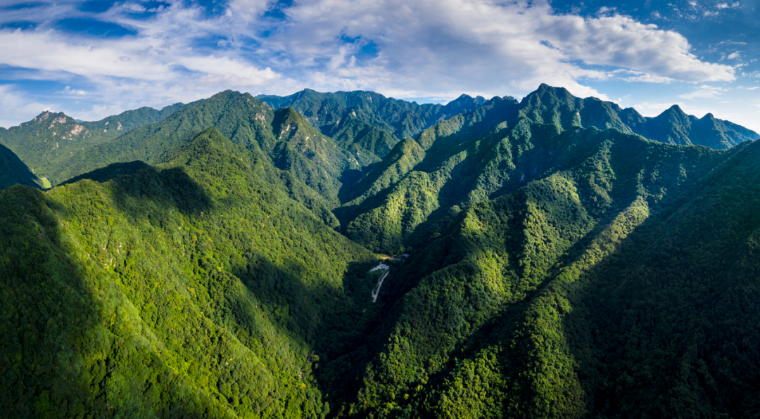 国际森林日走进全国最绿区域秦岭陕西段