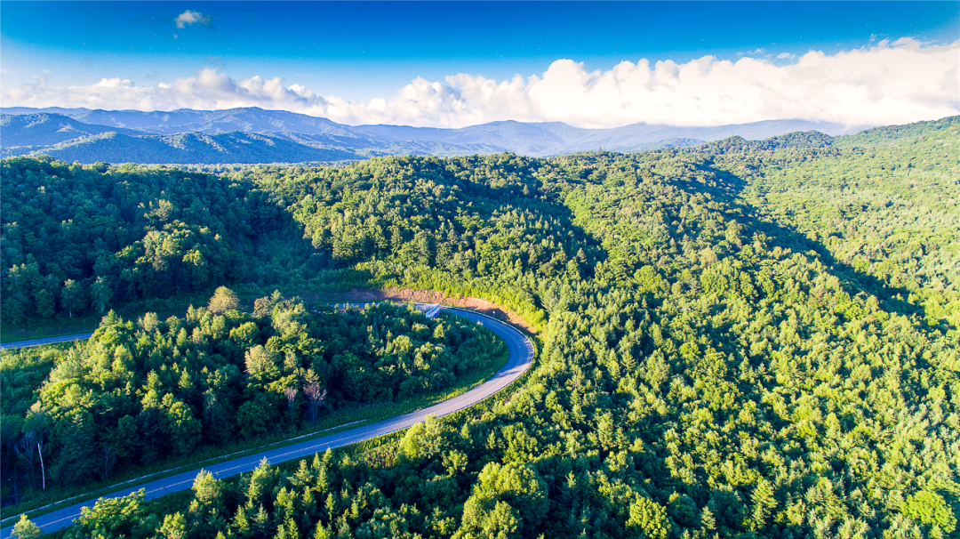 【黑龙江林业报】亚布力:建设美丽林区 释放生态效能