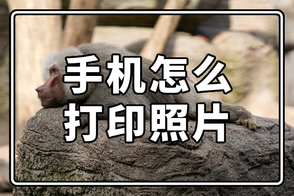 手机怎么打印照片?手机照片打印方法分享