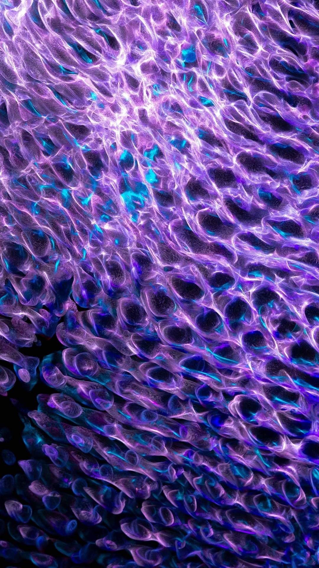 背景壁纸|炫彩抽象背景图片壁纸