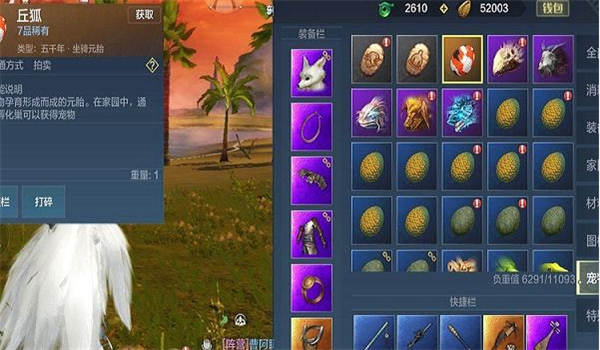 游戏里roll是什么意思?