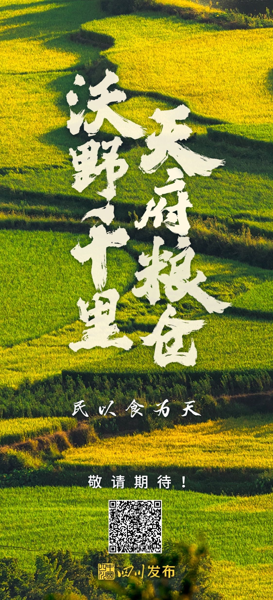 快来!晒出你心中的"天府粮仓"