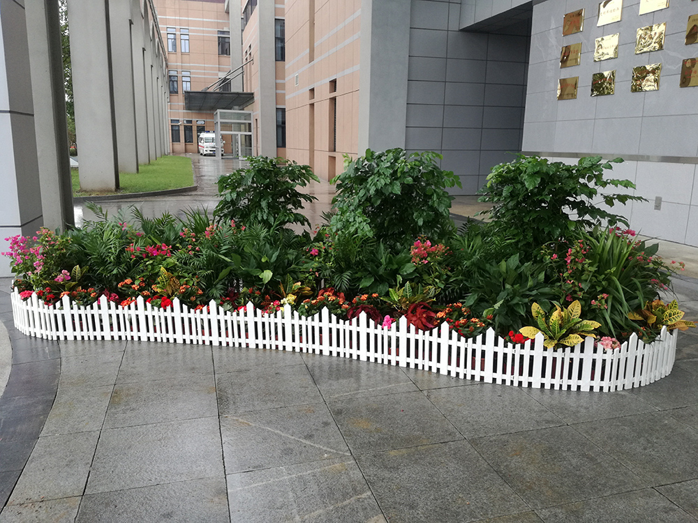 会议绿植租摆有什么方案?