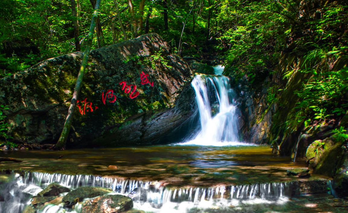 深入践行"两山"理念,打造国有林场生态建设"隆化样板"——河北隆化茅