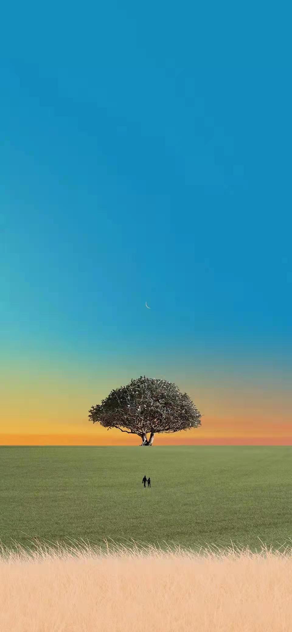 自认为干净又舒服的手机桌面壁纸,喜欢的收藏吧!