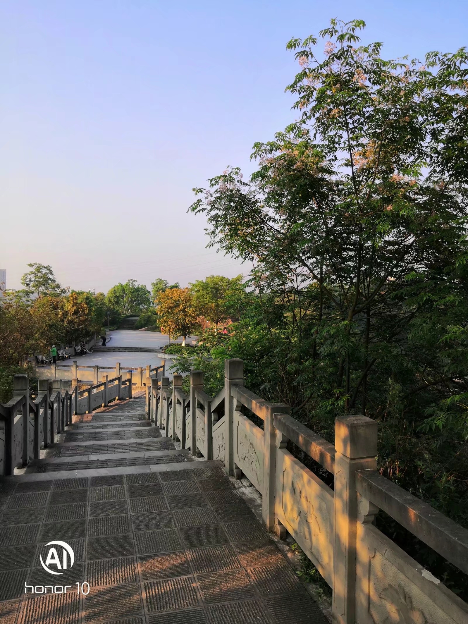 垫江县城市旅游-打卡凤山公园