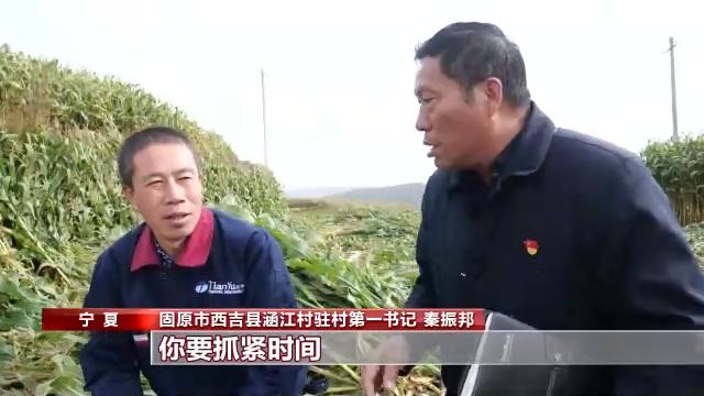 第一书记的攻坚答卷 秦振邦"返聘"驻村 践行誓言