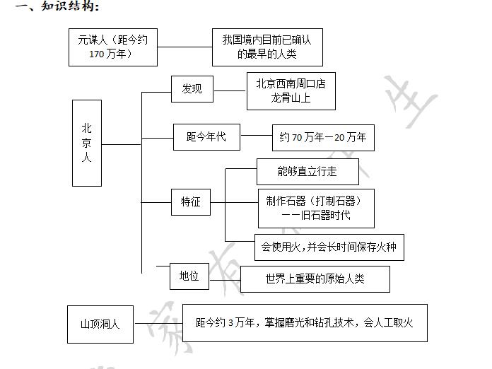 人类起源流程图图片