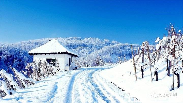 那年的雪.张艳慧