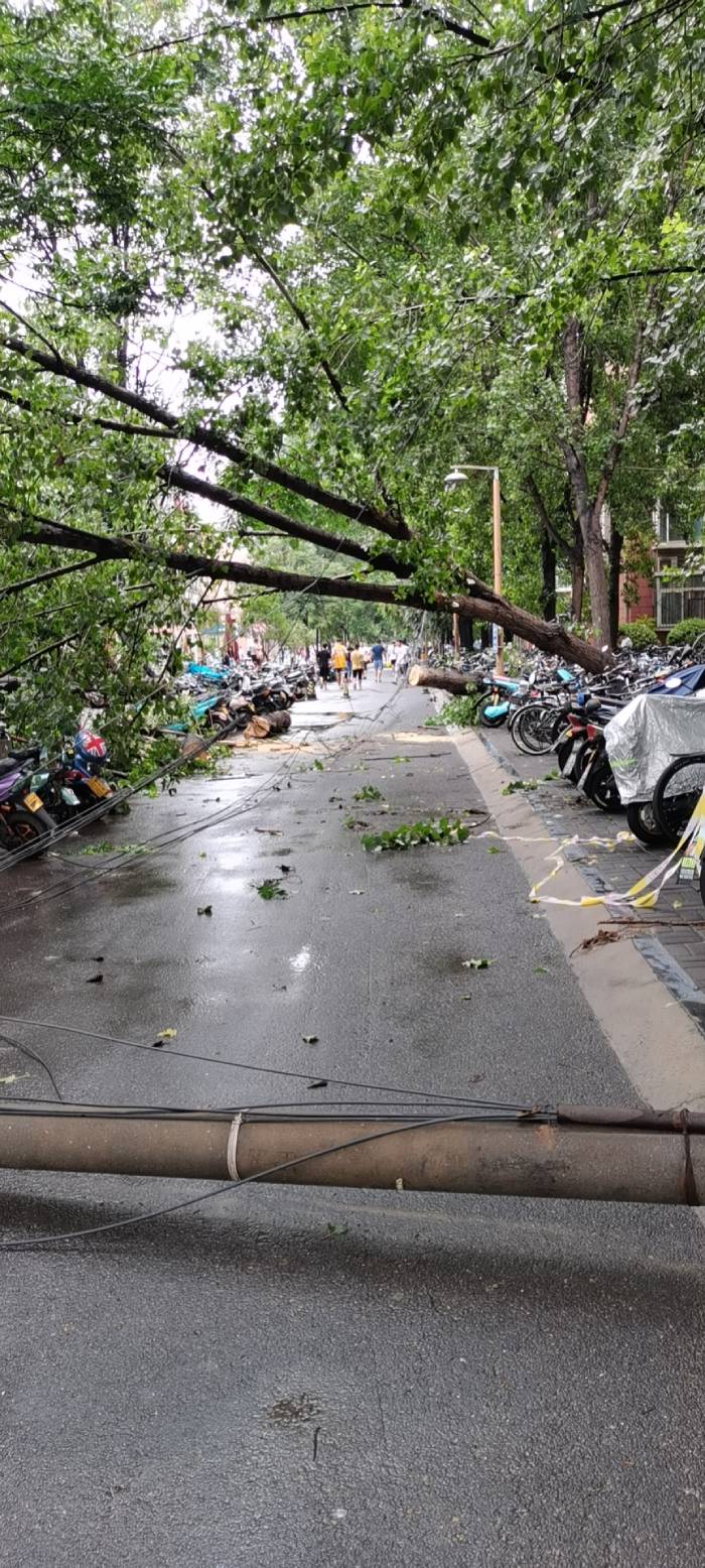 郑州大学暴雨图片