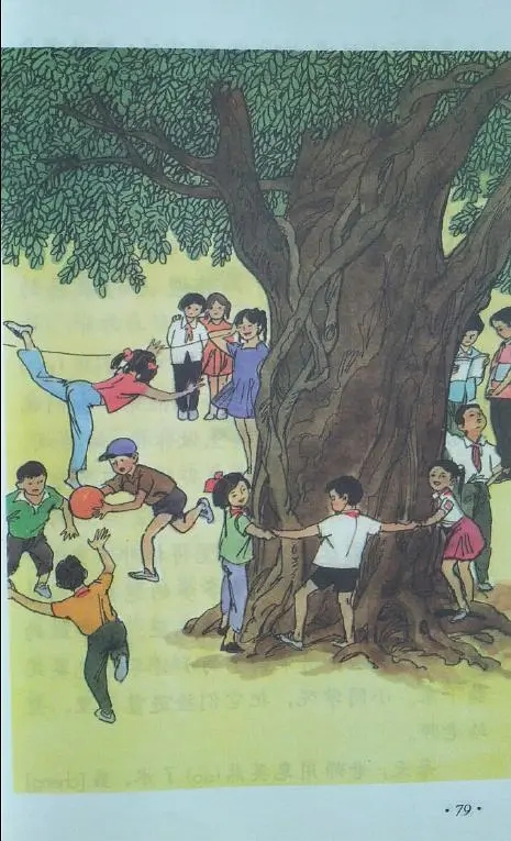 小学语文课本里的插图,你印象最深的是哪个?