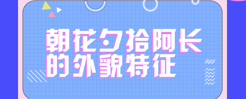 朝花夕拾阿长的外貌特征