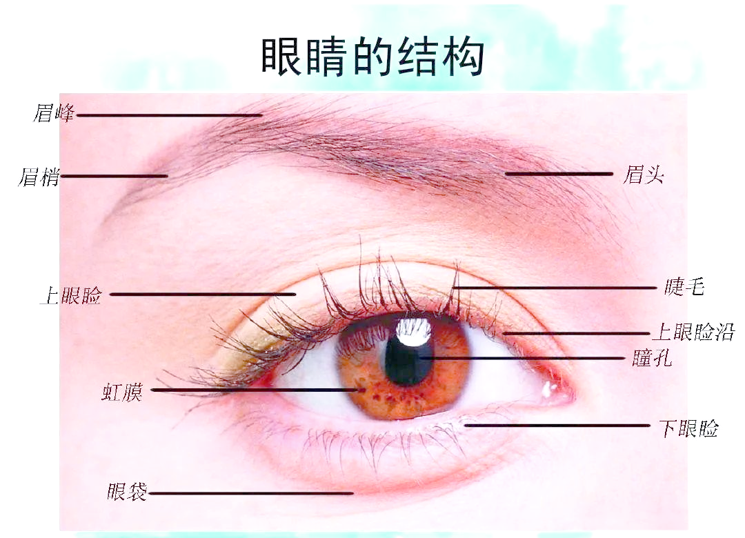 q版男孩头像画法,眼睛与整体比例的完美结合