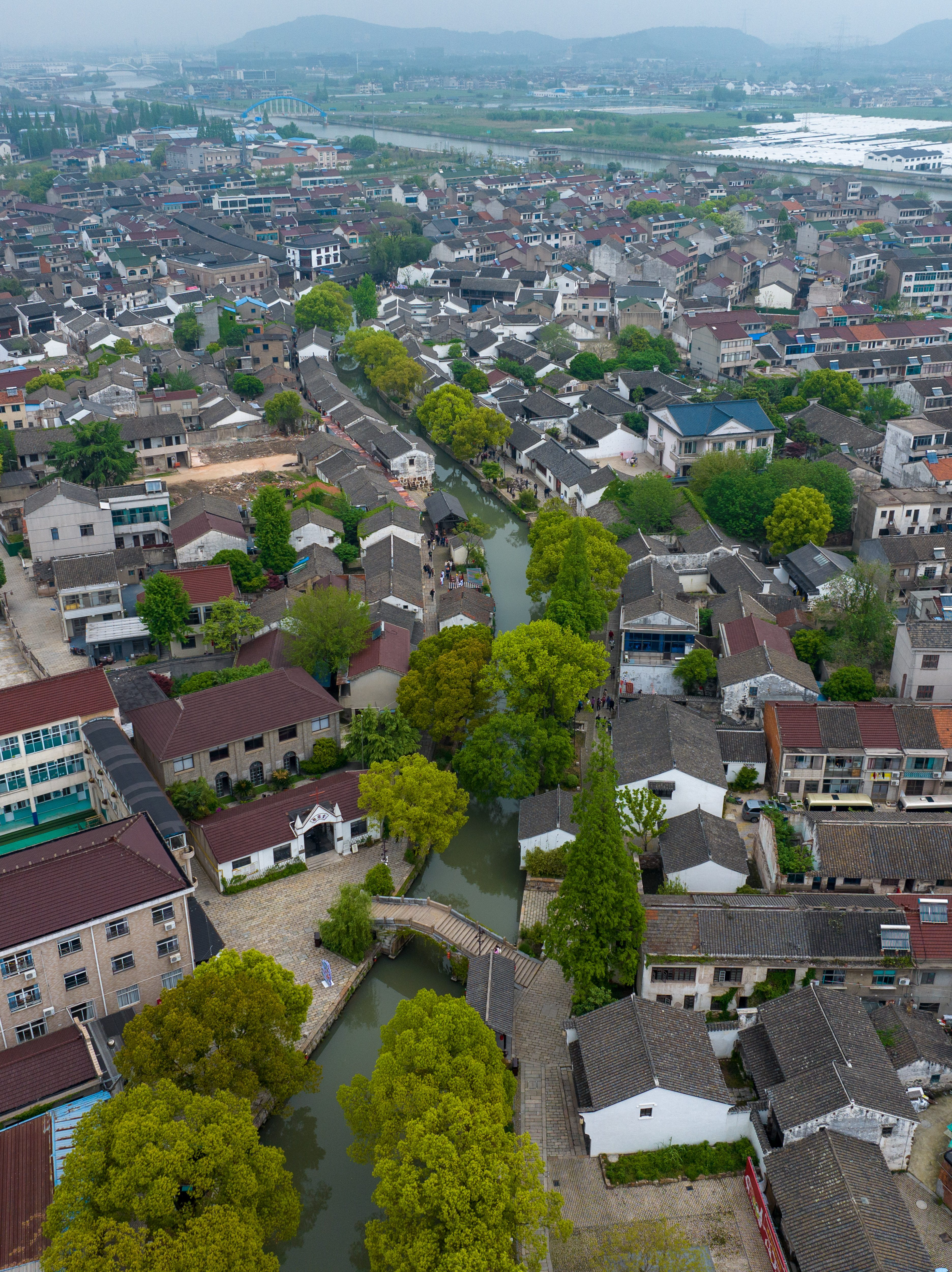 文化中国行|常州焦溪古镇:江南水乡引客来