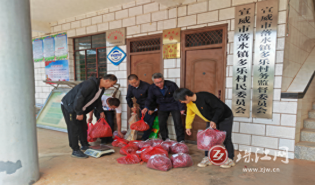 曲靖市残联到宣威市落水镇多乐村开展支部结对共建活动并调研乡村振兴