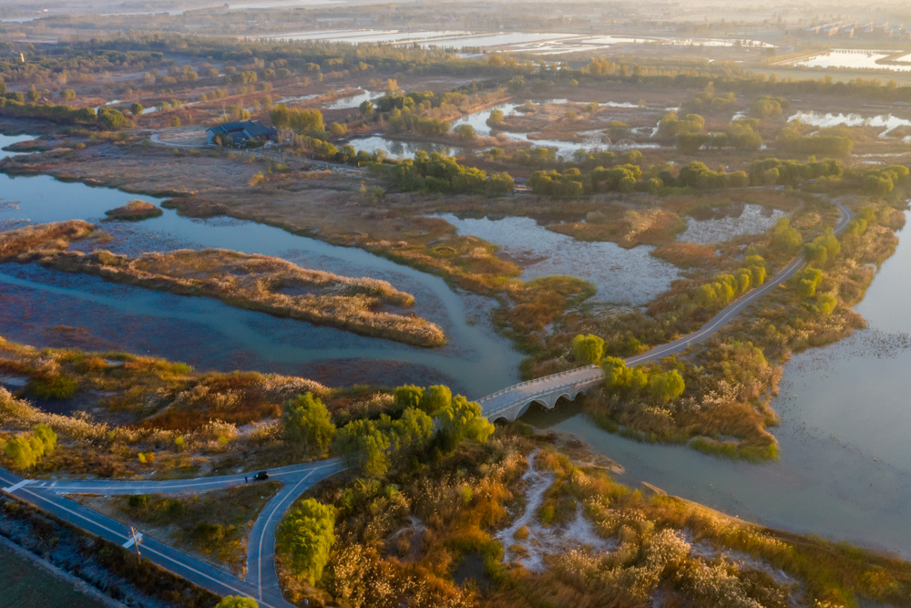 山东省淄博市高青县:初冬晨景