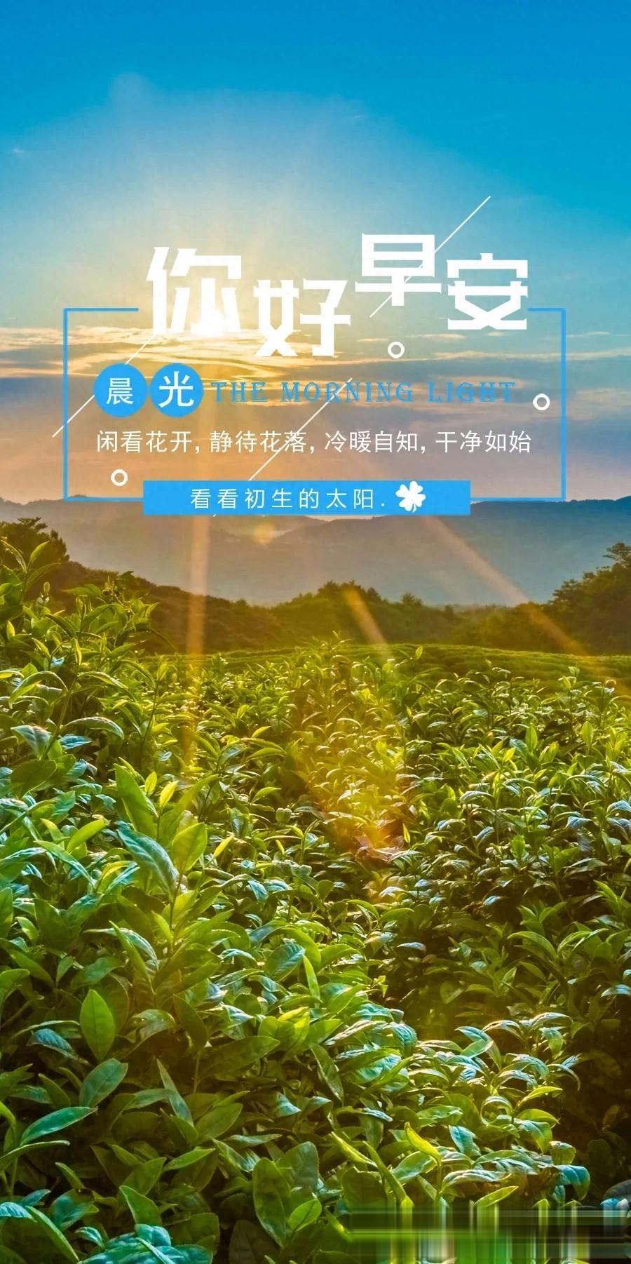 正能量一句话说说(正能量一句话文案)