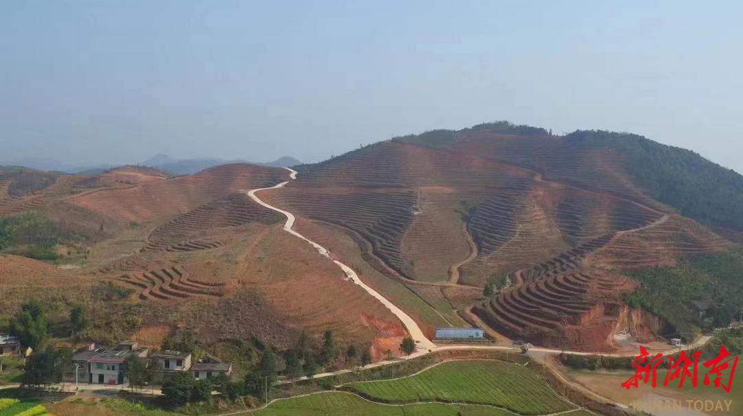 安仁县华王乡东桥村探索"支部引领 能人带动 产业发展"的乡村振兴新