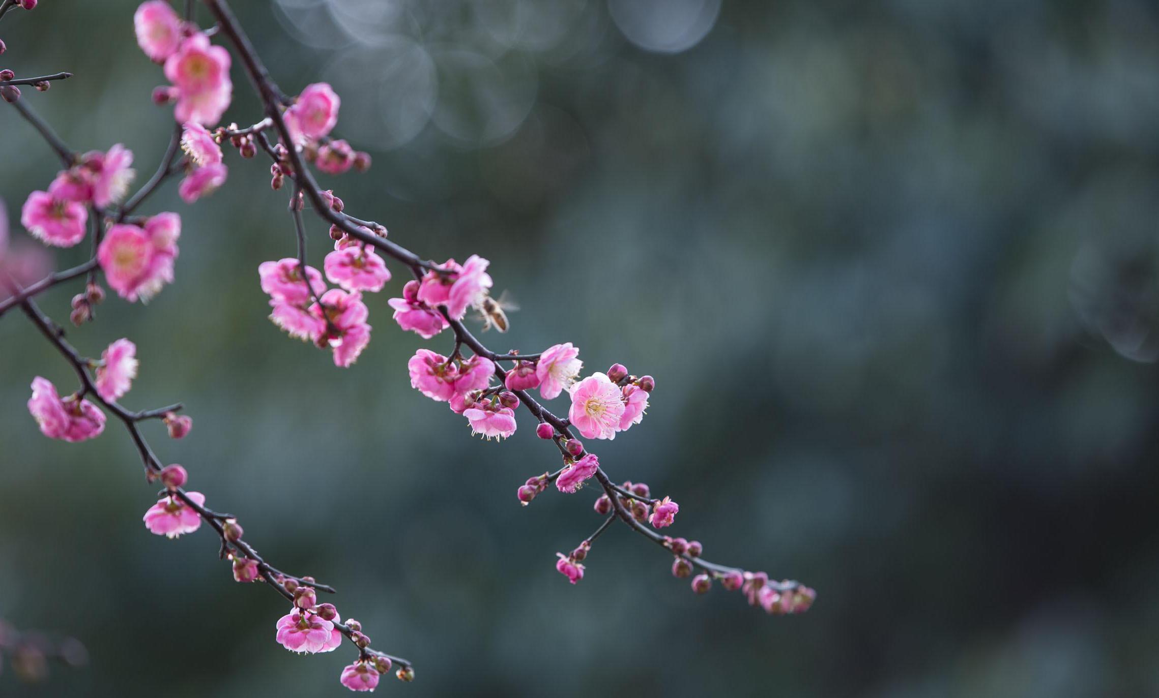 半生已过,往后与人相处,学会沉默