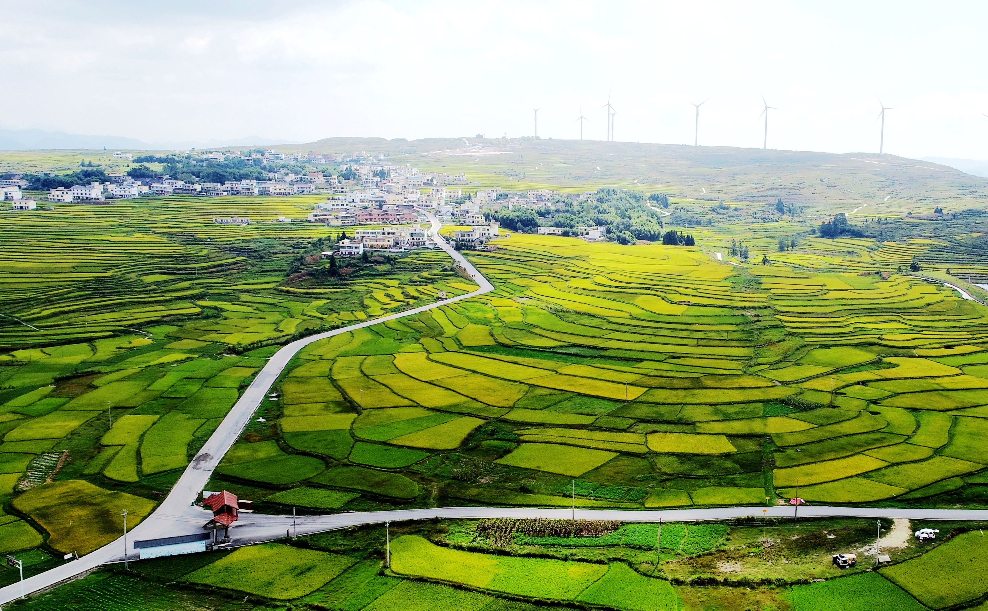 贵阳高坡梯田打翻了秋天的调色盘!