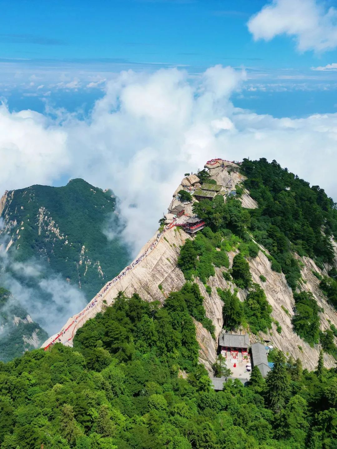 春游攻略|看人间四月天,华山如画云如烟