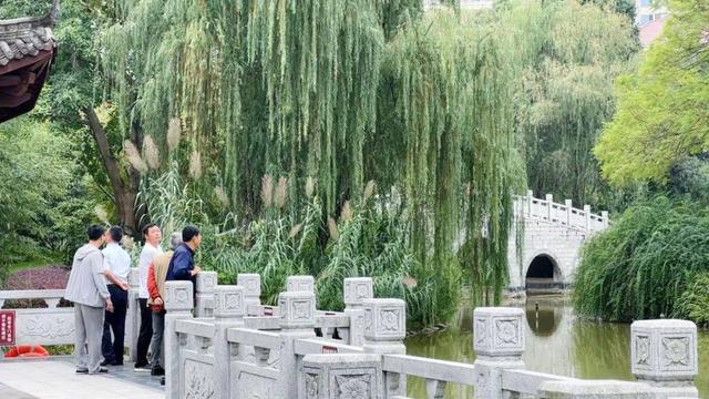 苏园文化考察眉山行:(一)苏辙公园——照水菡萏细细香