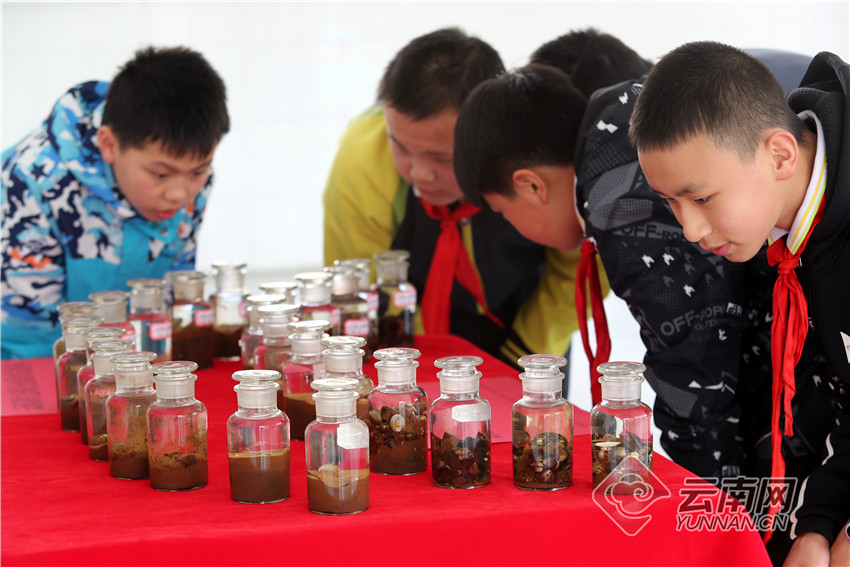 昆明文林小学图片