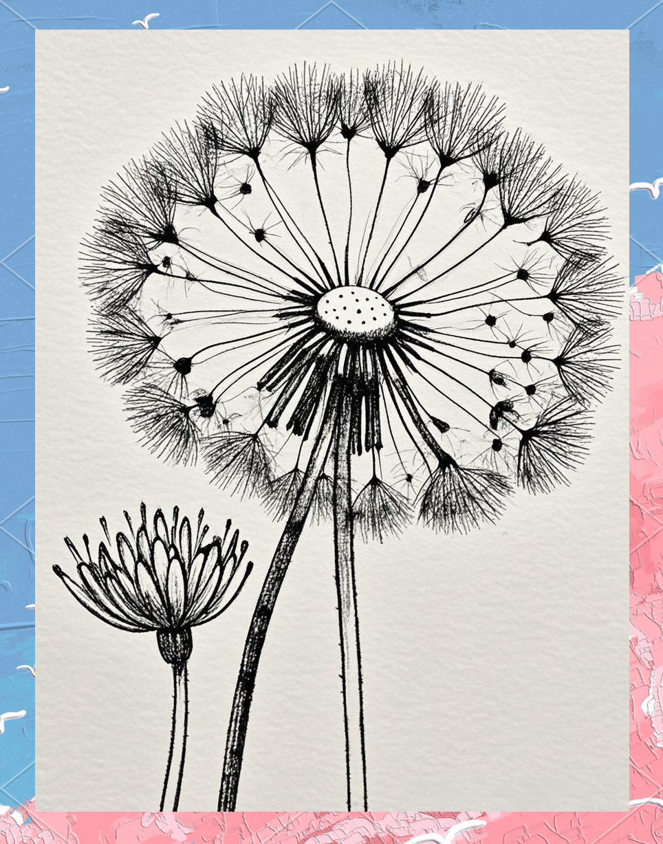 蒲公英线描的绘画技巧与心得分享