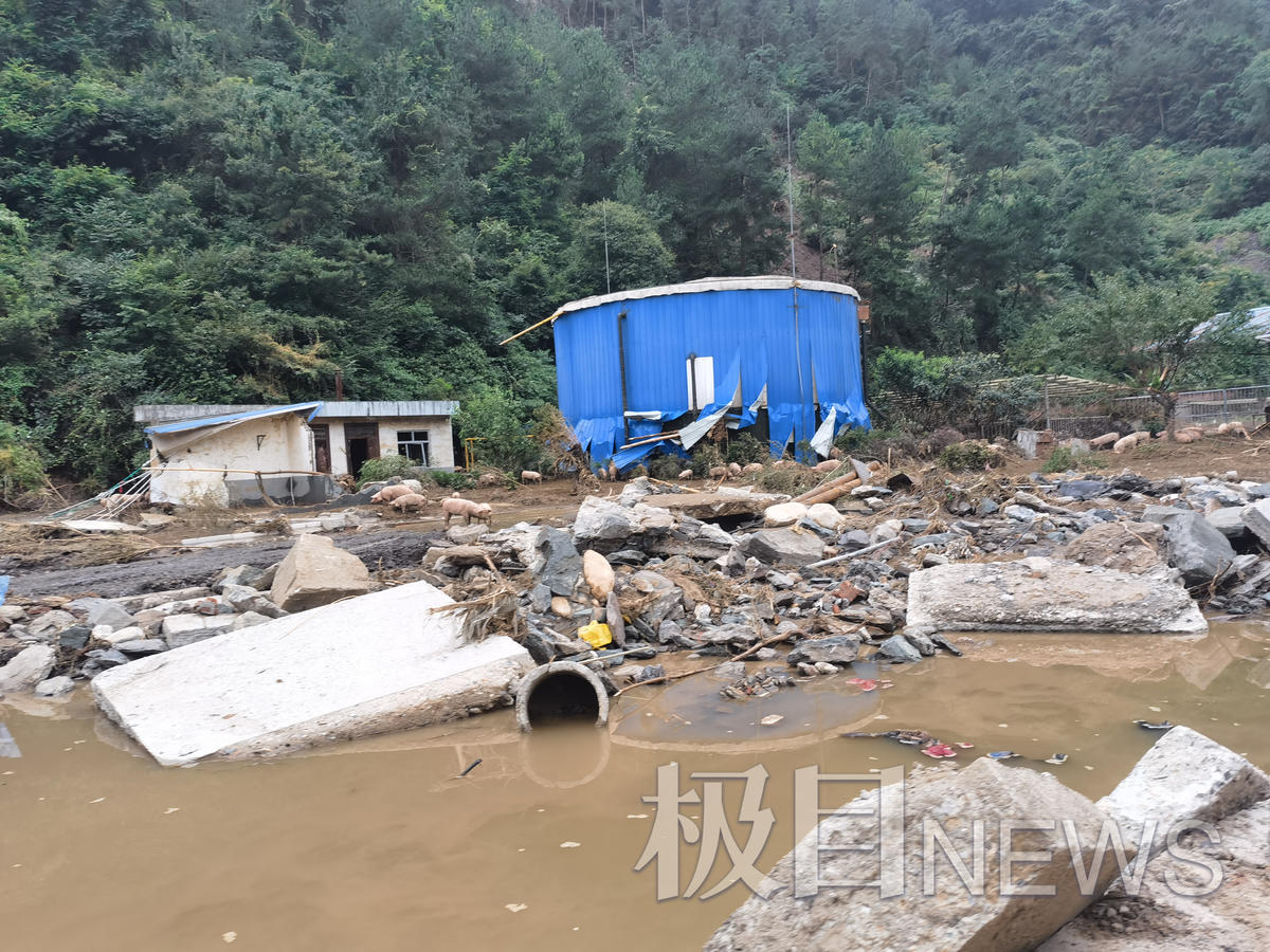 陕西勉县暴雨图片