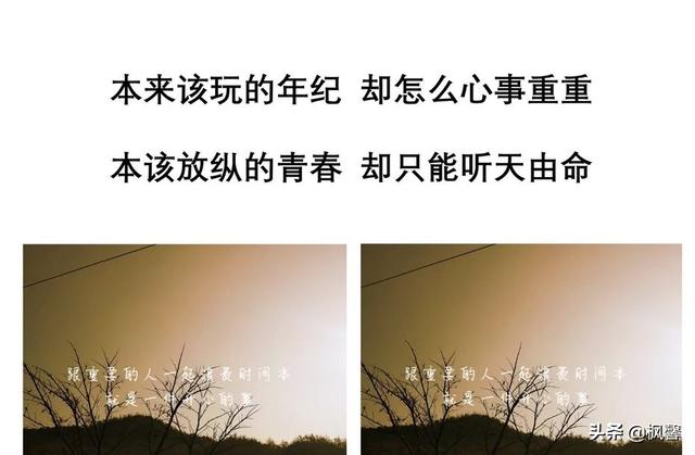 不知所措的年纪,好像什么都不尽人意