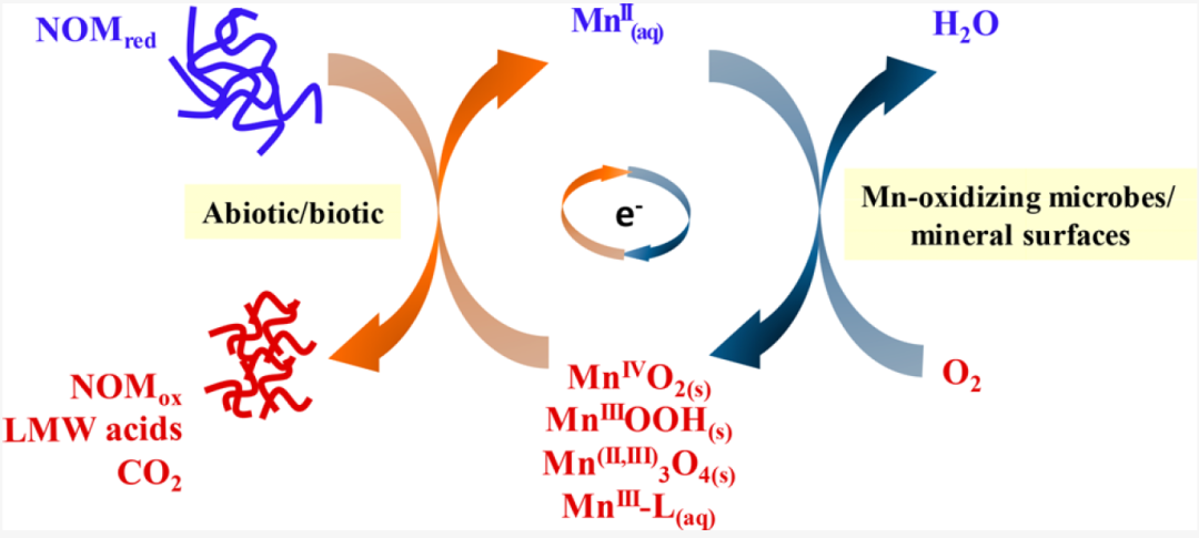 氧化- 热门商品专区