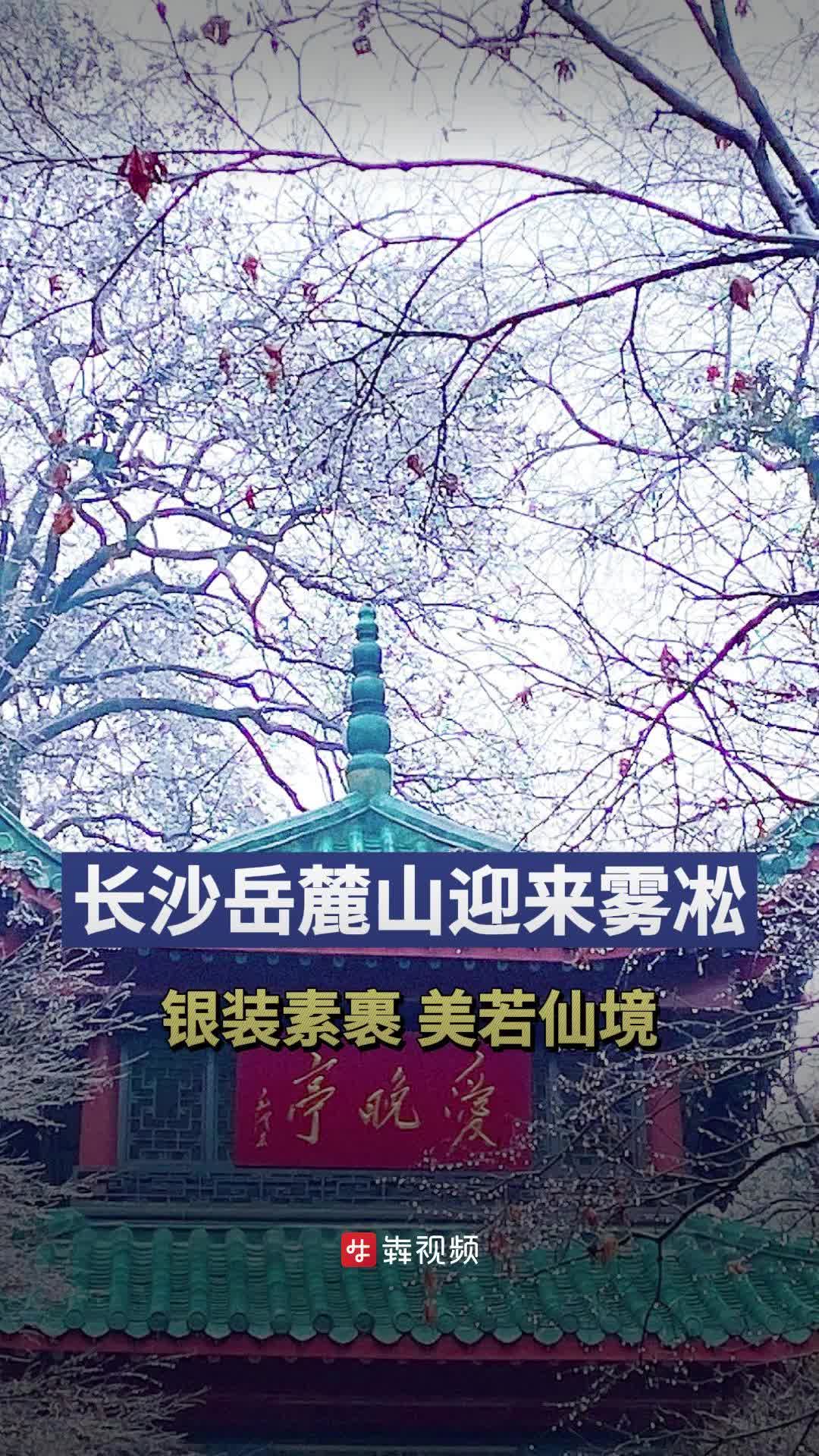 岳麓山雾凇图片