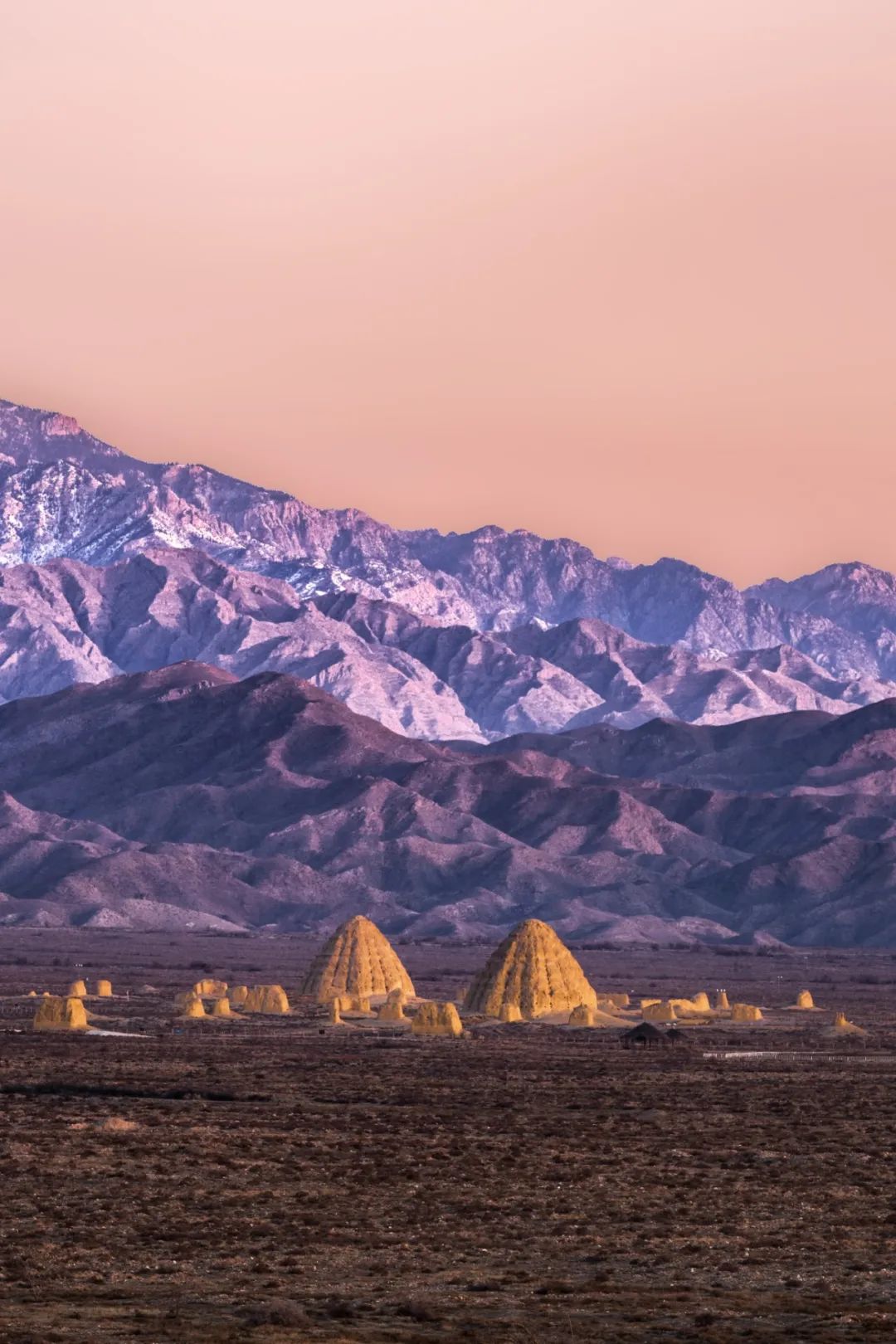 宁夏,这"泼天的富贵"接住了!