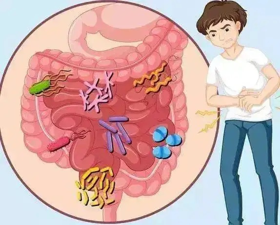 肠胃功能紊乱什么症状图片