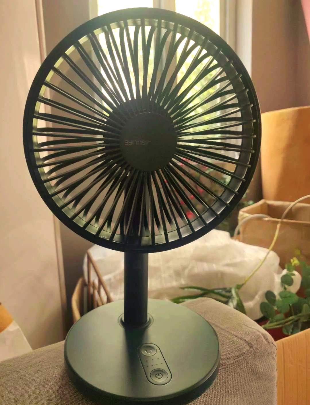 电风扇重焕光彩:多样款式引领夏日清凉新风尚