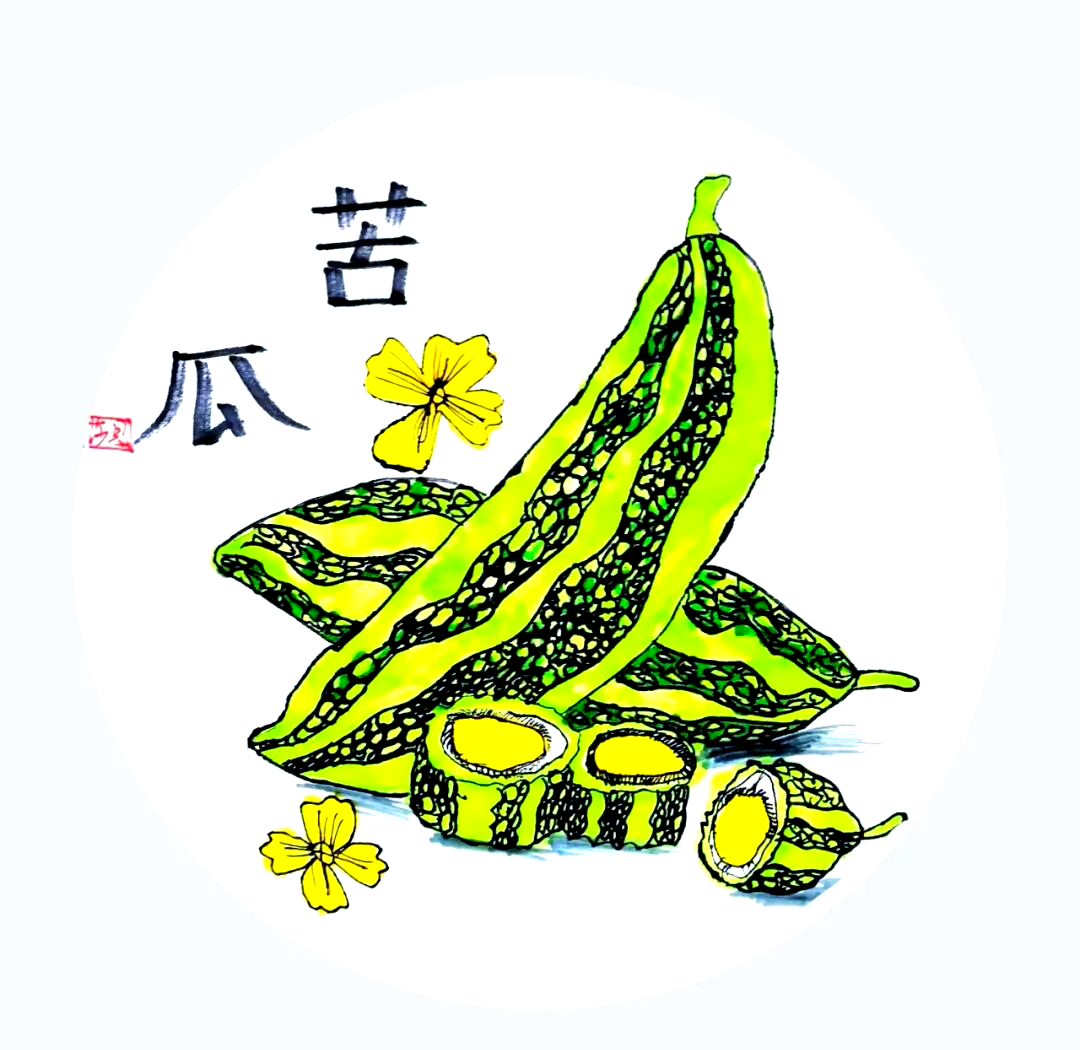 探索苦瓜魅力:外观,苦味与艺术表现