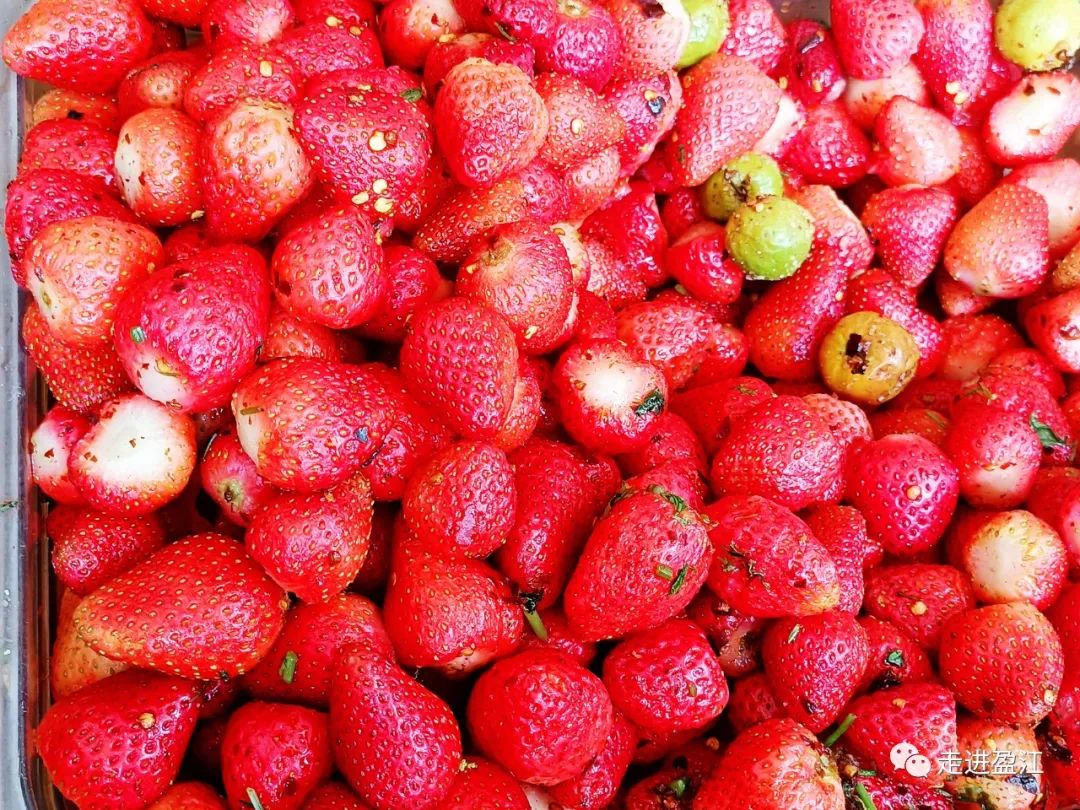 德宏这么多美味酸果果,你吃过几种?