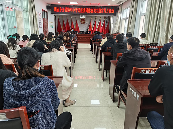 驻马店市驿城区胡庙乡开展铸牢中华民族共同体意识主题宣传月活动