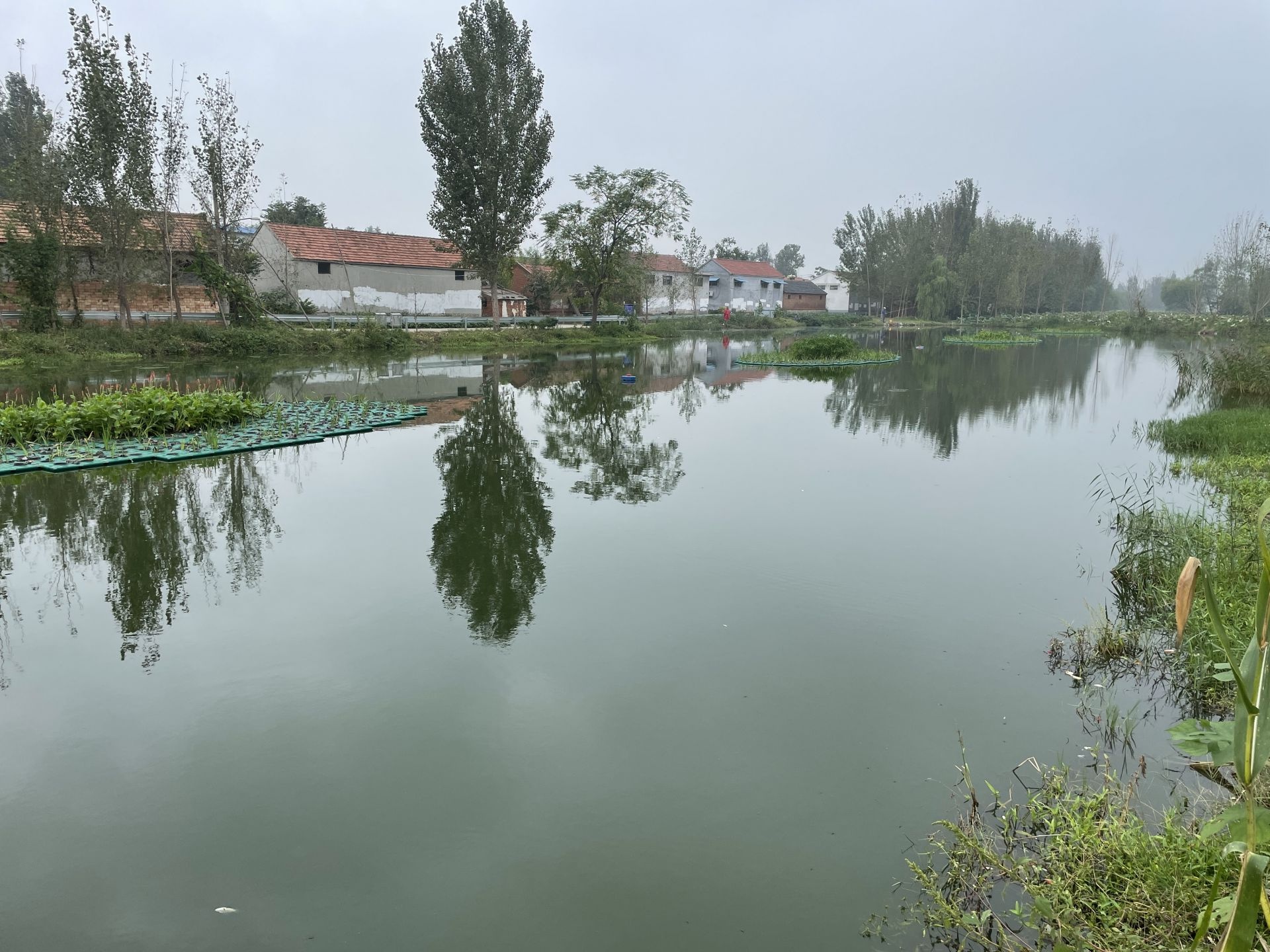 喻屯镇加快推进农村黑臭水体整治工作