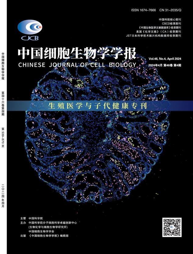 科技资讯创刊时间(科技资讯杂志属于国家级还是省级期刊)下载