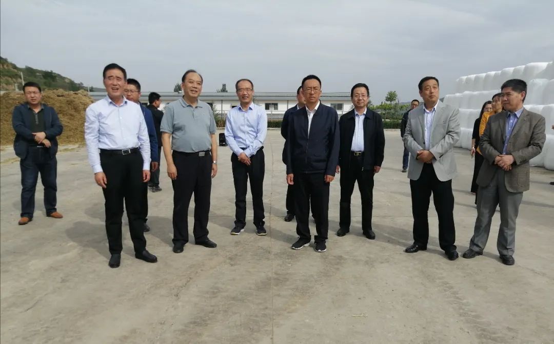 王大睿带队来崇信县现场办理市政协四届四次会议第16号提案