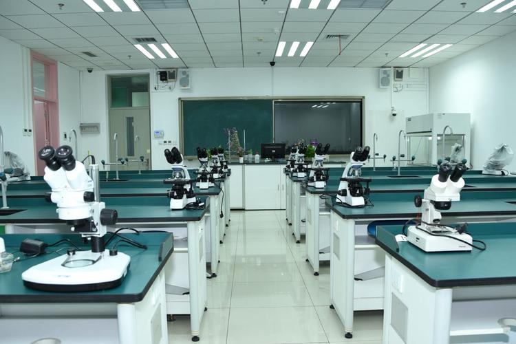 九年级学生探访枣庄三中,体验高中生活之美