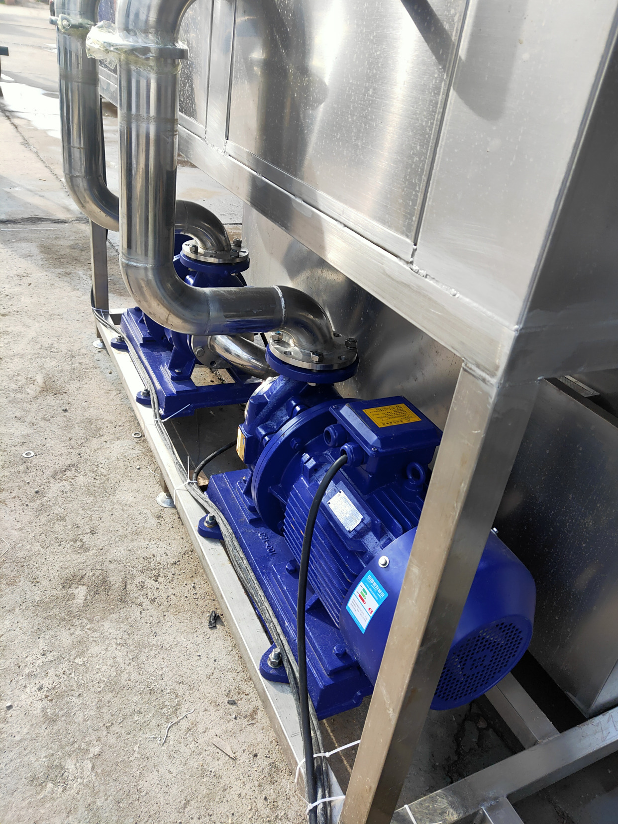 大姜清洗机 洗姜机器