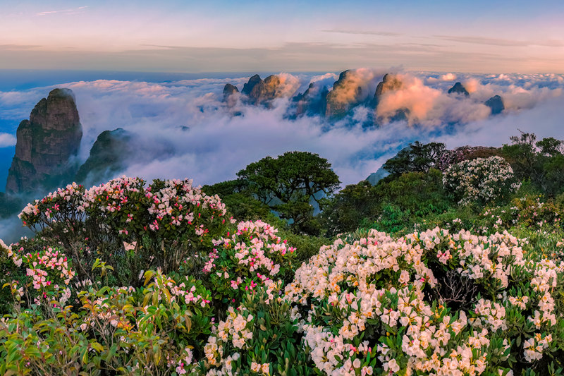 2024金秀圣堂山杜鹃花文化旅游节开幕