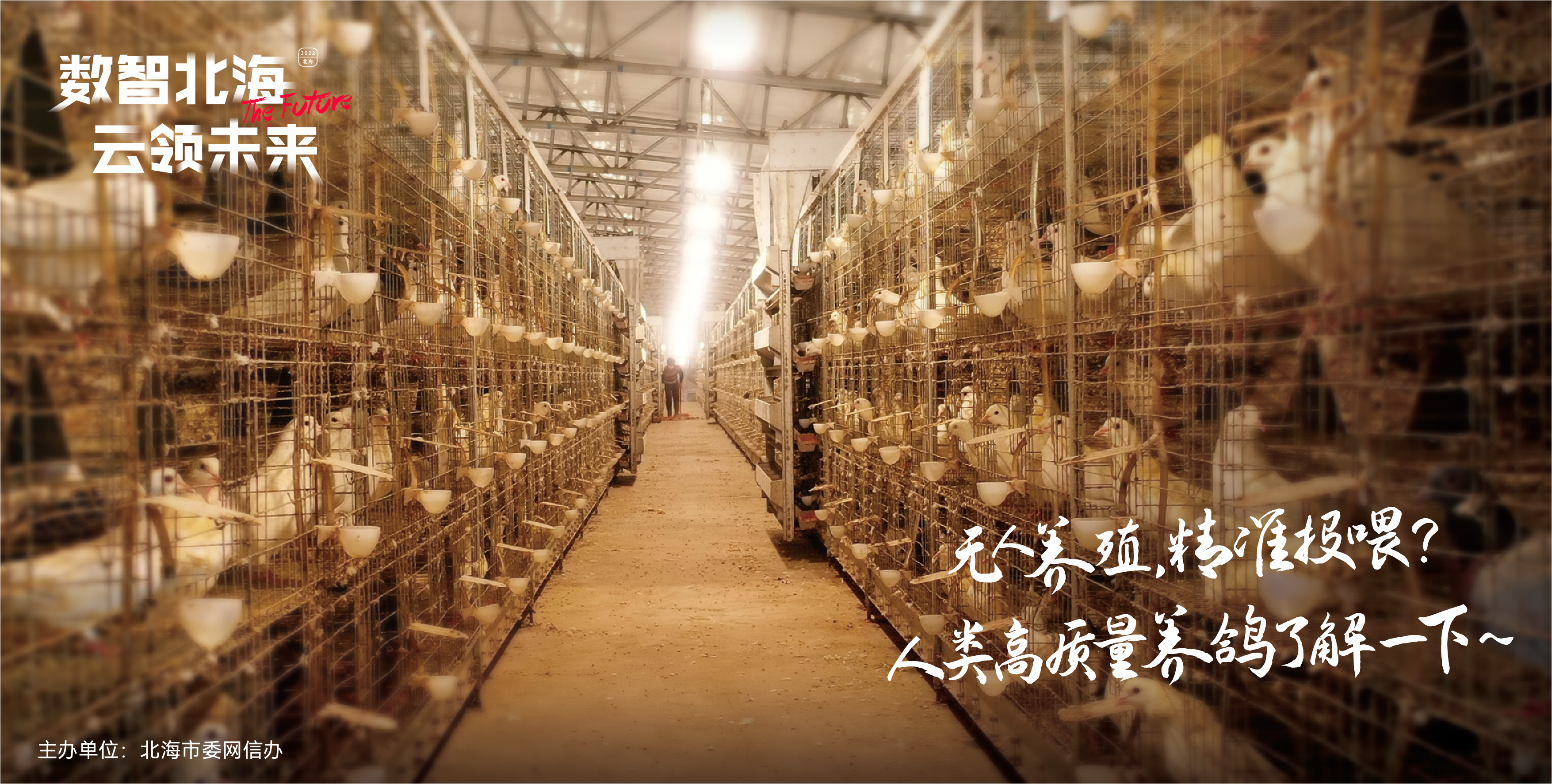 「数智北海·云领未来」城市幸福密码拿捏住了!